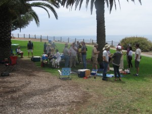 45th Reunion Picnic